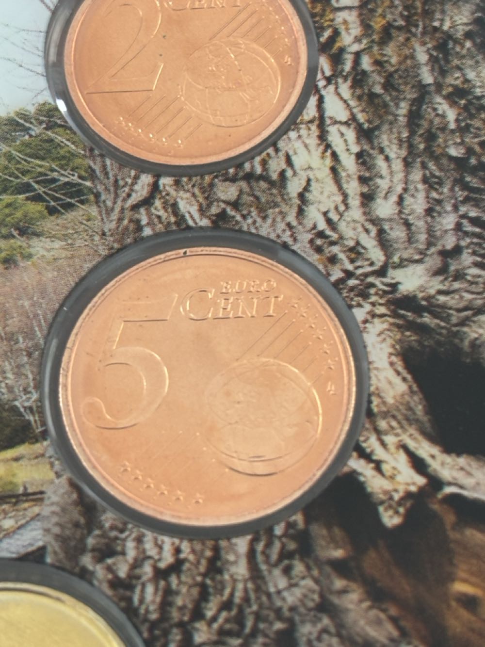 2024 PDS Innovative Dollars