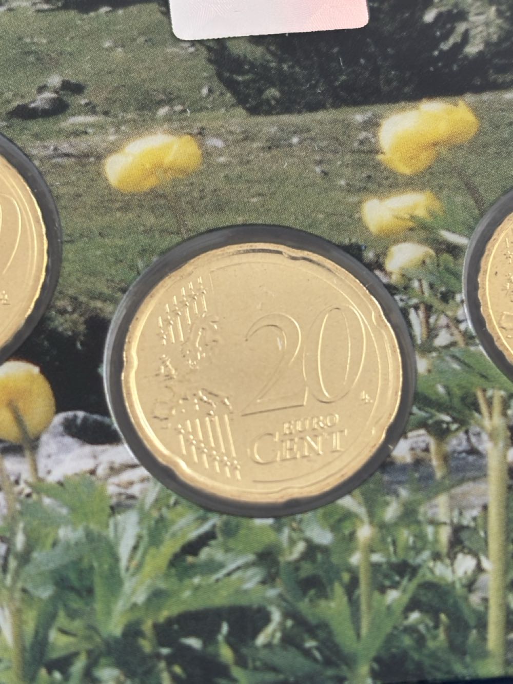 1st Battalion The Royal Australian Regiment Challenge Coin V1