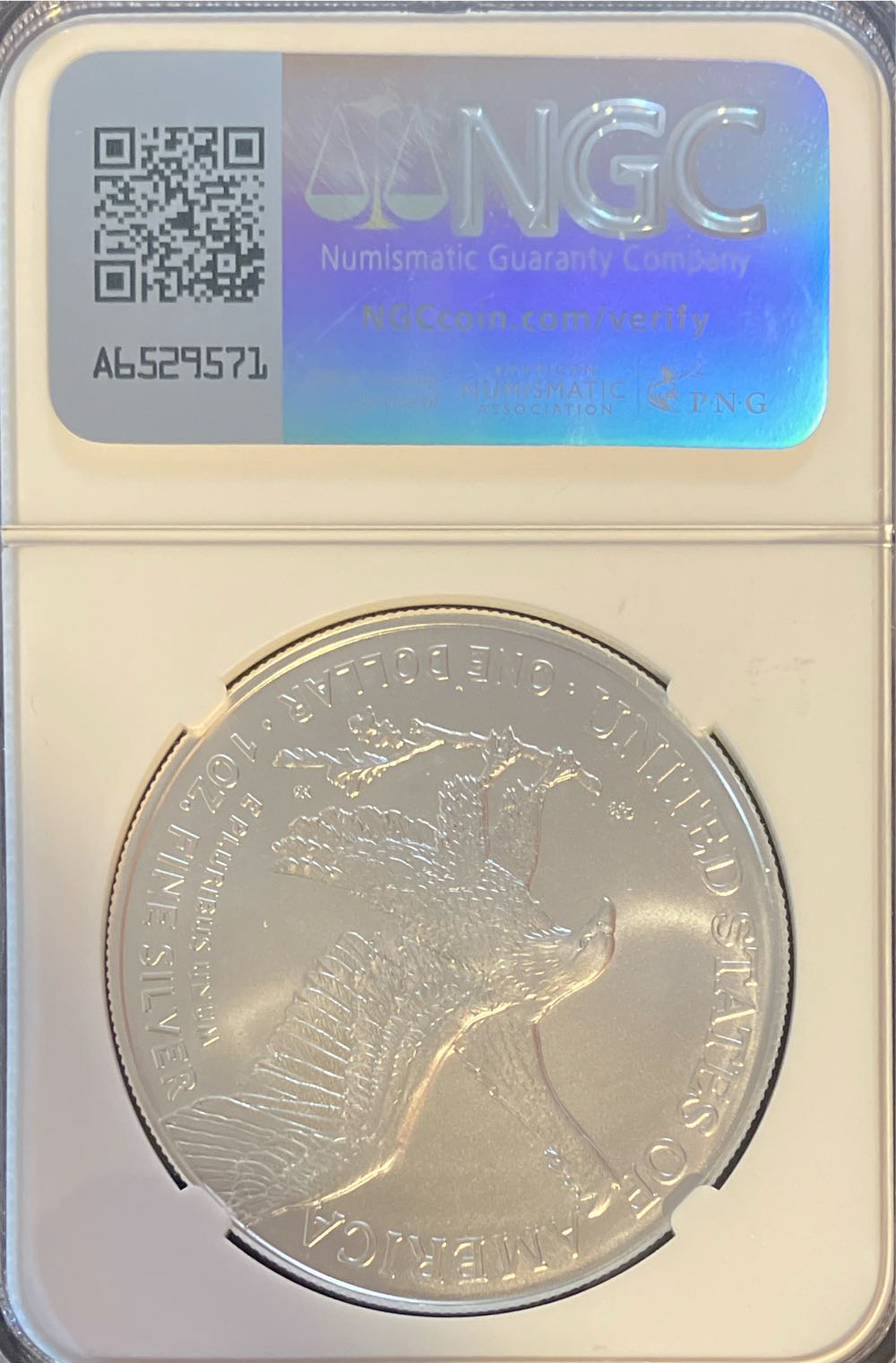 2025 Silver Eagle  coin collectible - Main Image 2