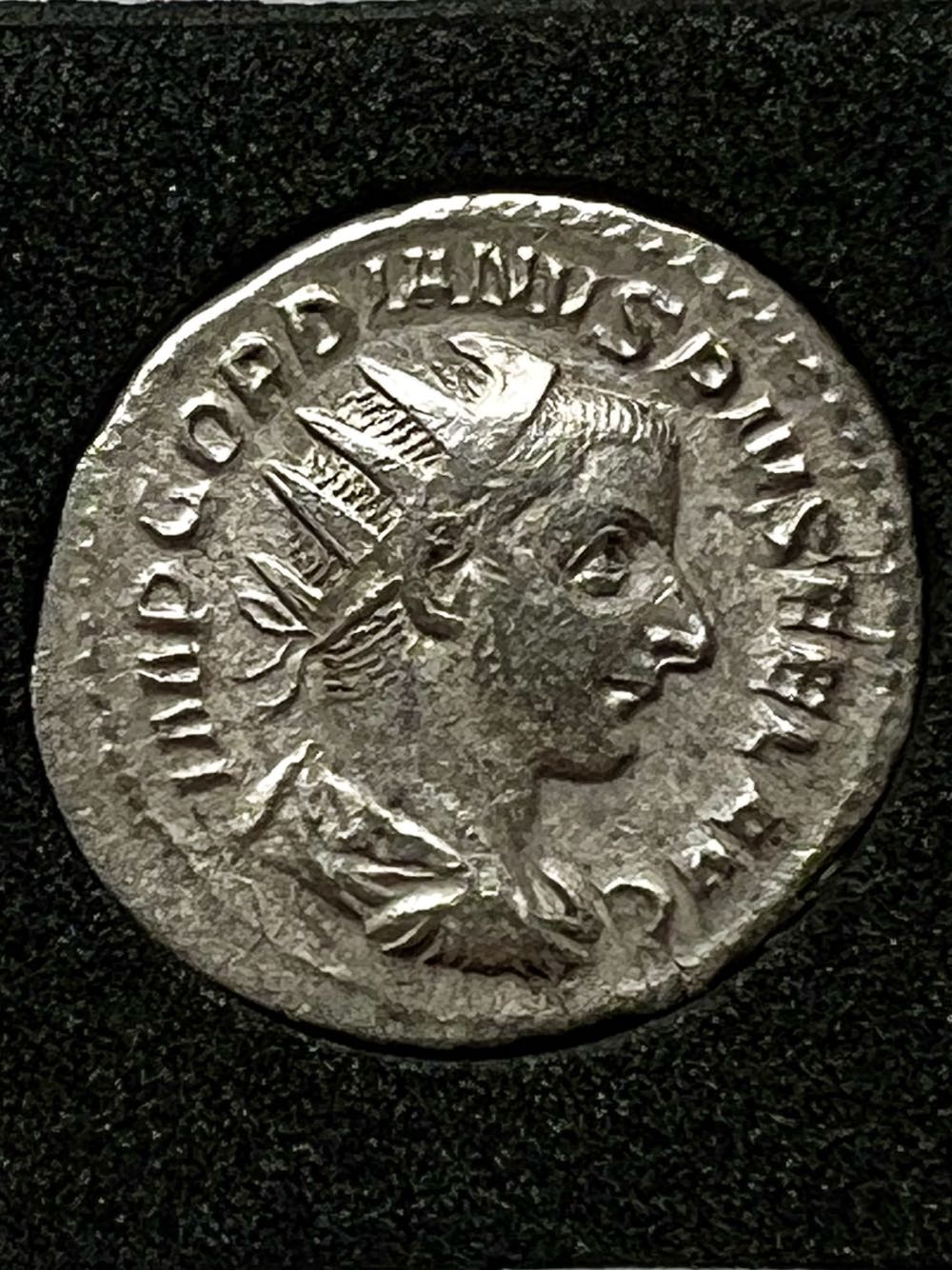 Ice Age Giants: Steppe Mammoth