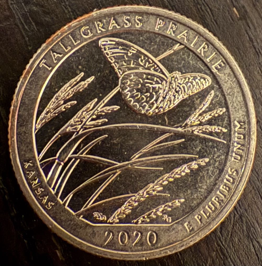 Alyssa Christmas Coins -2024 Santa