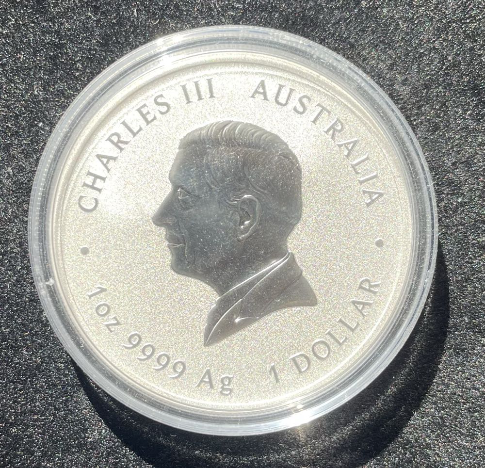 2025 1oz Silver Australian Lunar Series lll Year Of The Snake  coin collectible - Main Image 2