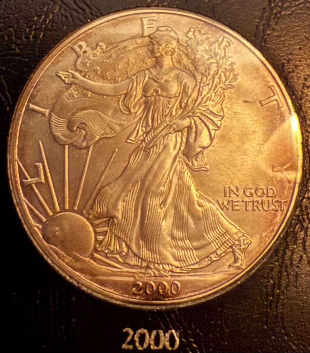 เหรียญพระนเรศวร ตองโข่