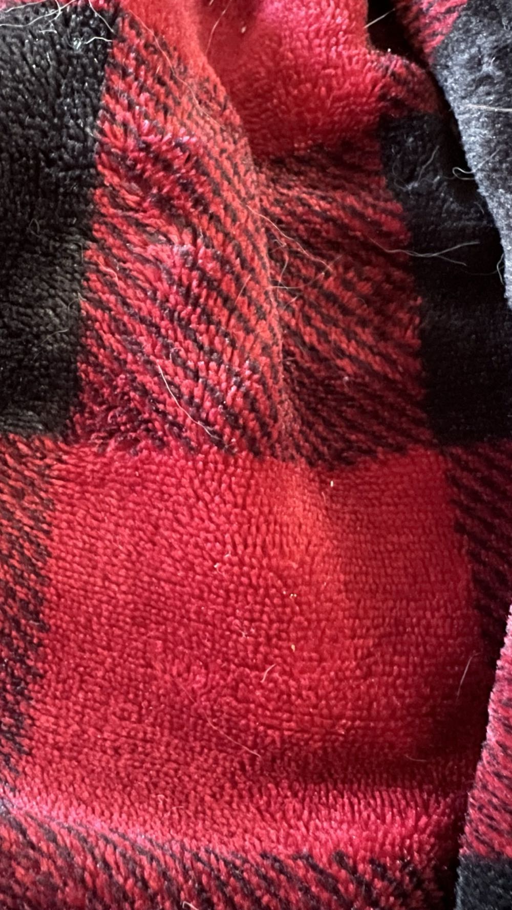 Japon/Tokyo/Tokyo Disneyland Pato Donald Gym