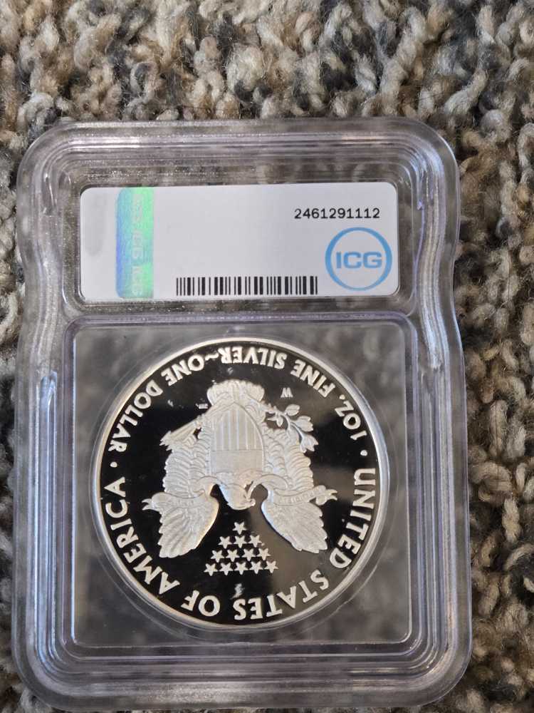 2013 Silver Eagle  coin collectible - Main Image 2