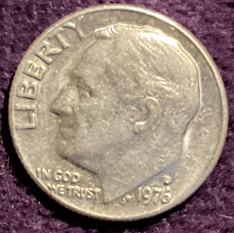 Eternal Moment Certified Rose