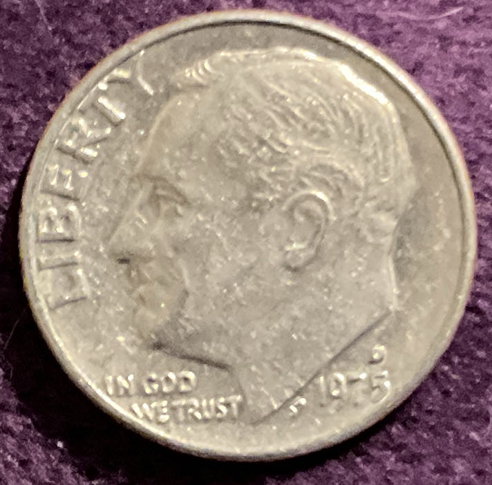 Annabel Craig: A Novel By Grunwald Lisa Grunwald The Evolution Of Annabel Craig Hardback Hardcover Lisa Craig Book