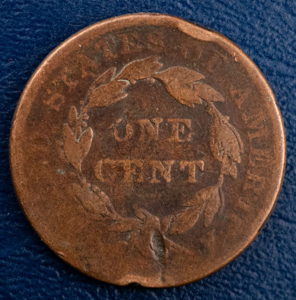Large Cent Matron Head Modified  coin collectible - Main Image 2