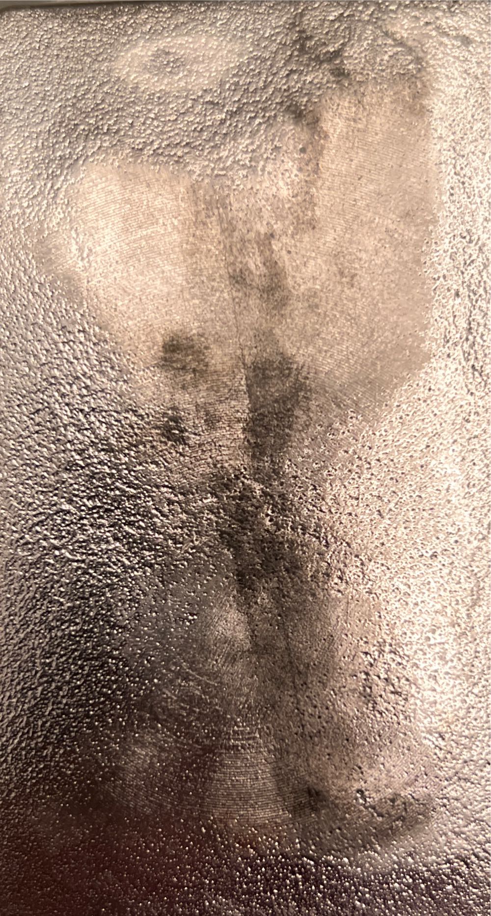 10 Oz 0.999 Silver Bar  coin collectible - Main Image 2