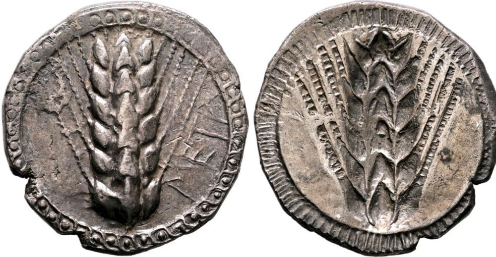 LUCANIA. Metapontion. Circa 510-470 BC. Stater  coin collectible - Main Image 3