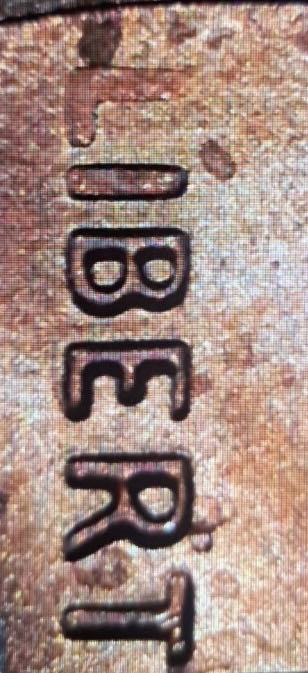 Lincoln Shield Penny Last One  coin collectible - Main Image 3