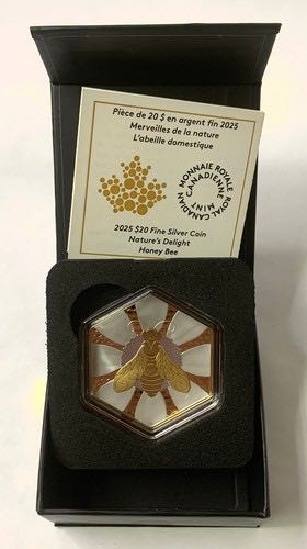 Dime 1982 P Roosevelt