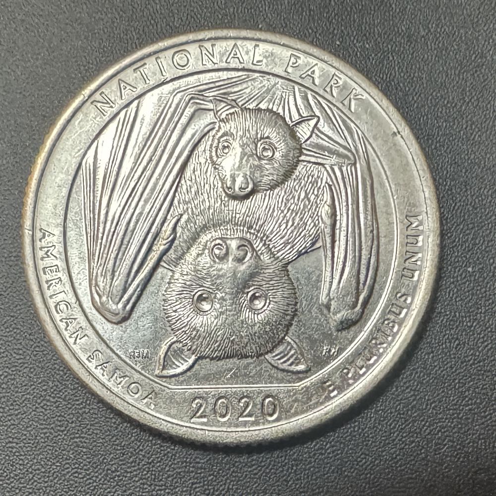 Coins Indian Head Penny