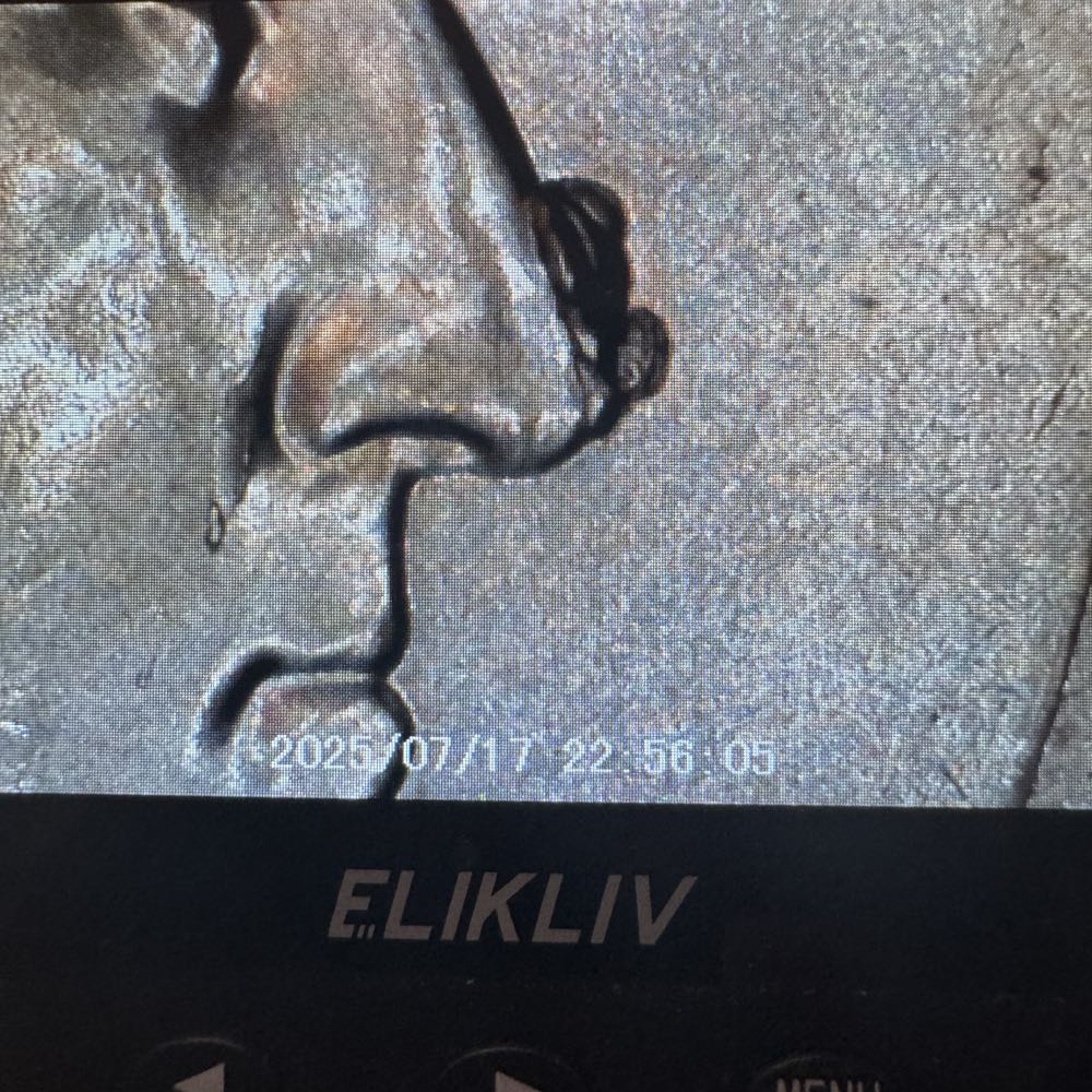 Error Quarter Die Chip  coin collectible - Main Image 3