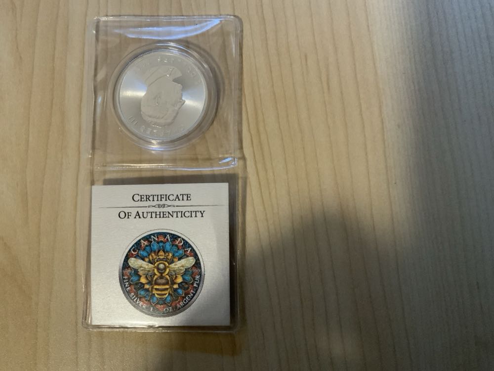 Silver Chinese Panda