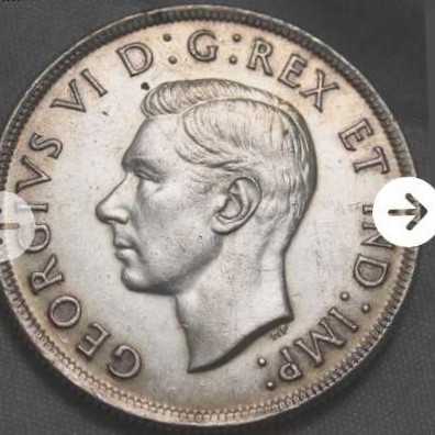 Canada Dollar  coin collectible - Main Image 2