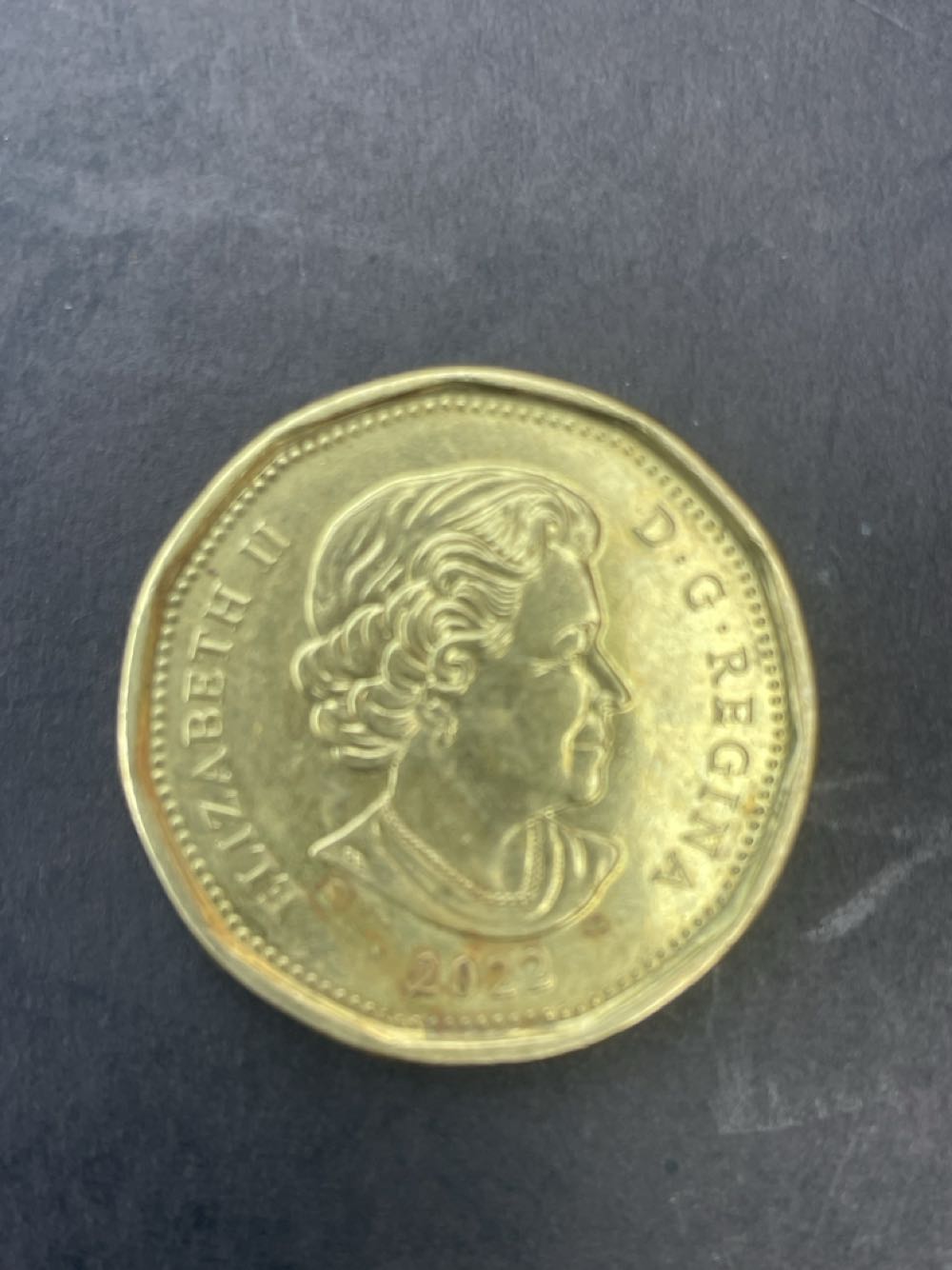 One Dollar  coin collectible - Main Image 2