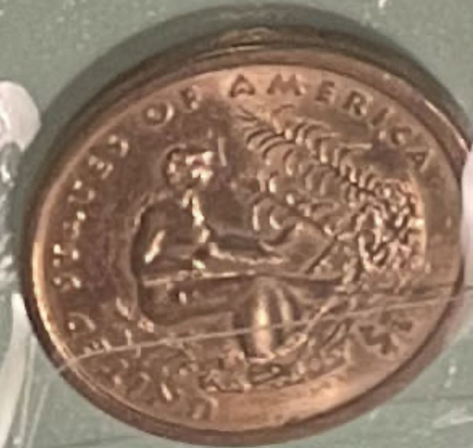 **ZINE - One Dollar: Sacagawea (Gold)  coin collectible - Main Image 4