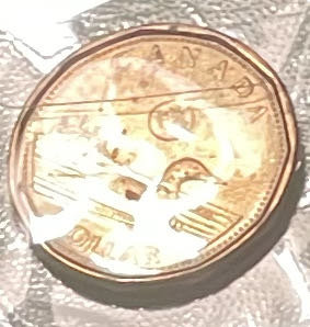 **ZINE - One Dollar (Canadian/Gold): Elizabeth II  coin collectible - Main Image 2