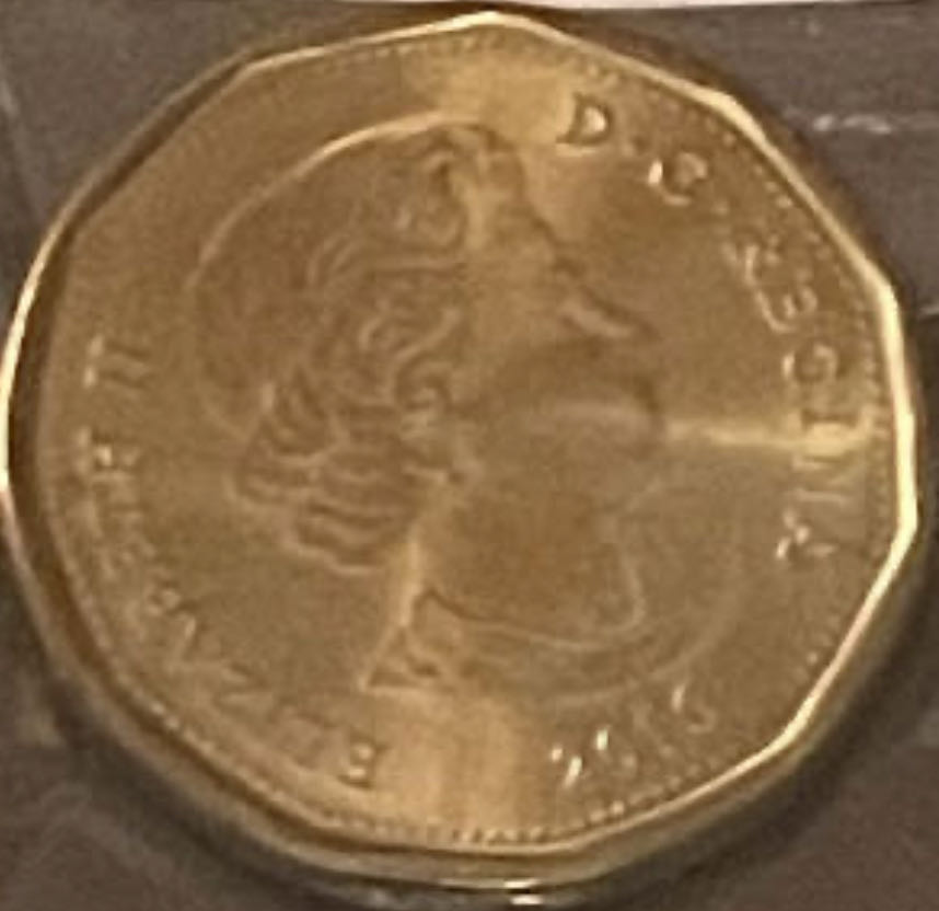 **ZINE - One Dollar (Canadian/Gold): Elizabeth II  coin collectible - Main Image 3
