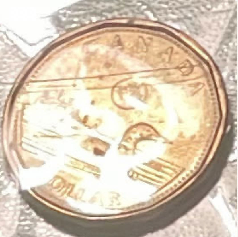 **ZINE - One Dollar (Canadian/Gold): Elizabeth II  coin collectible - Main Image 4