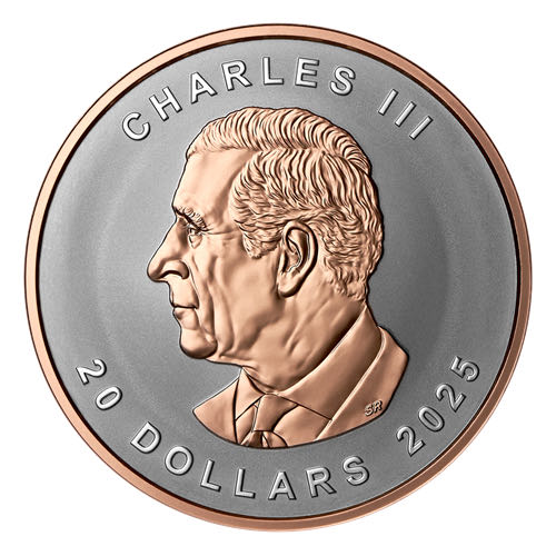 Silver  coin collectible [Barcode 623932119529] - Main Image 2