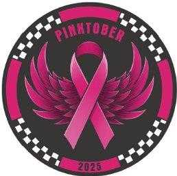 2008 P Comparative/ EAGLE