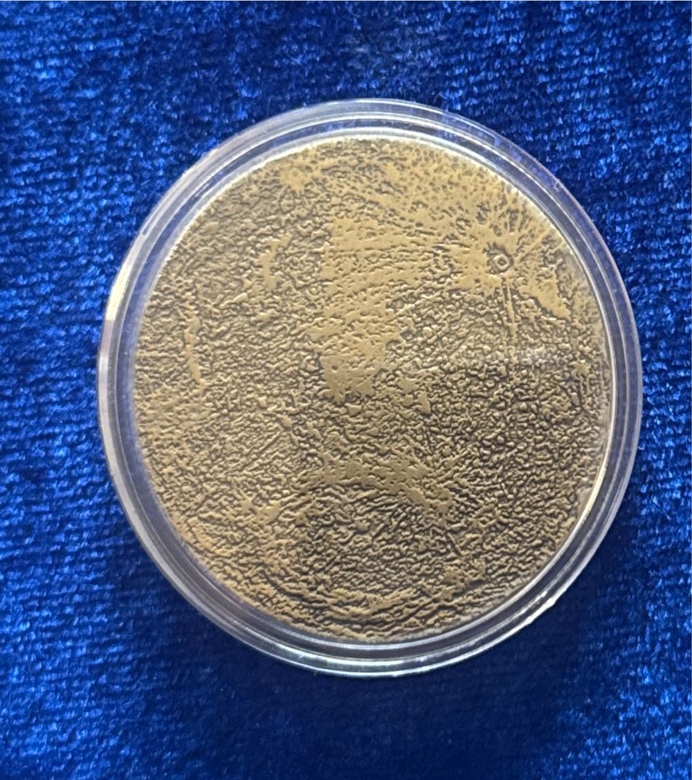 Dime 2022 D Roosevelt 6