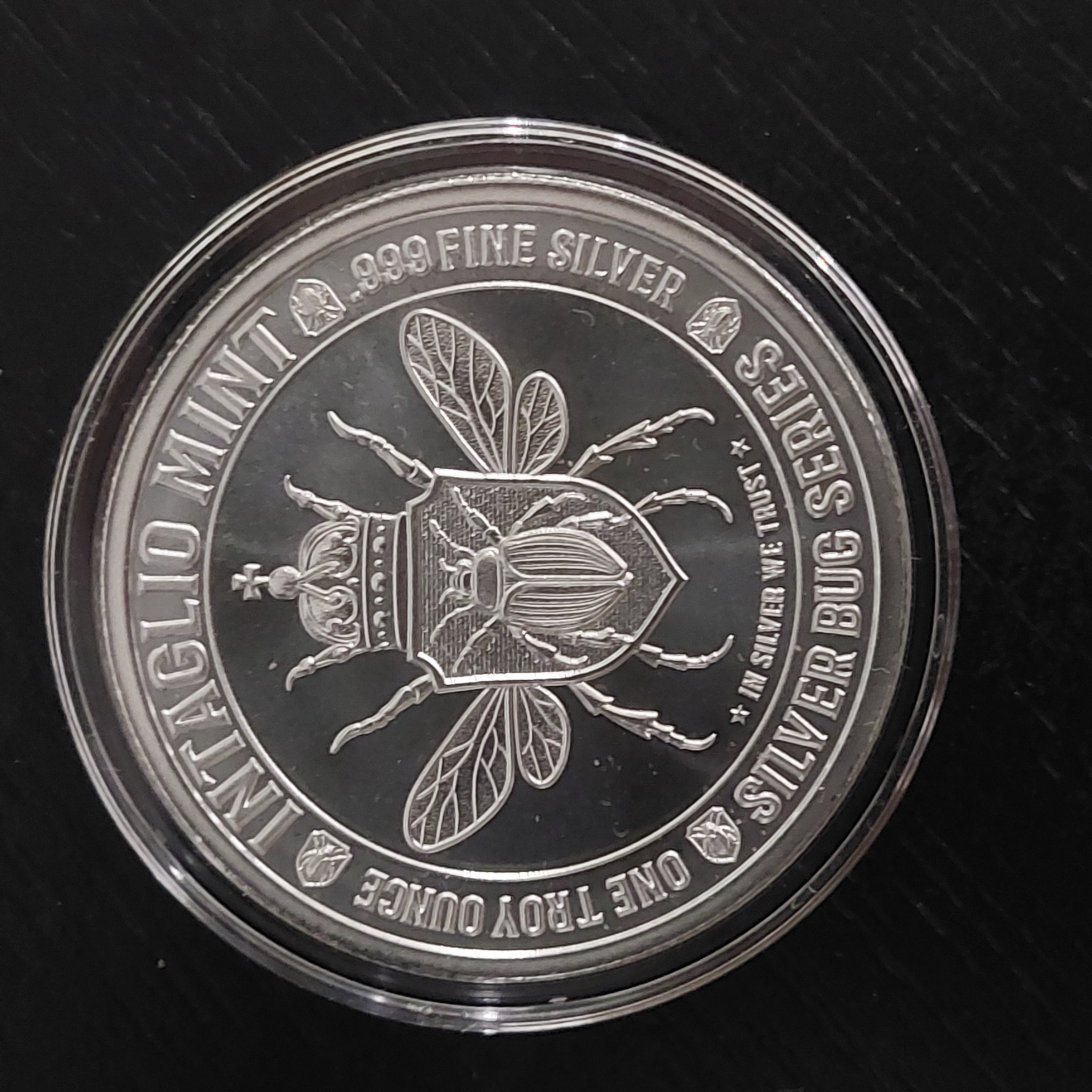 Goliath Beetle  coin collectible - Main Image 2
