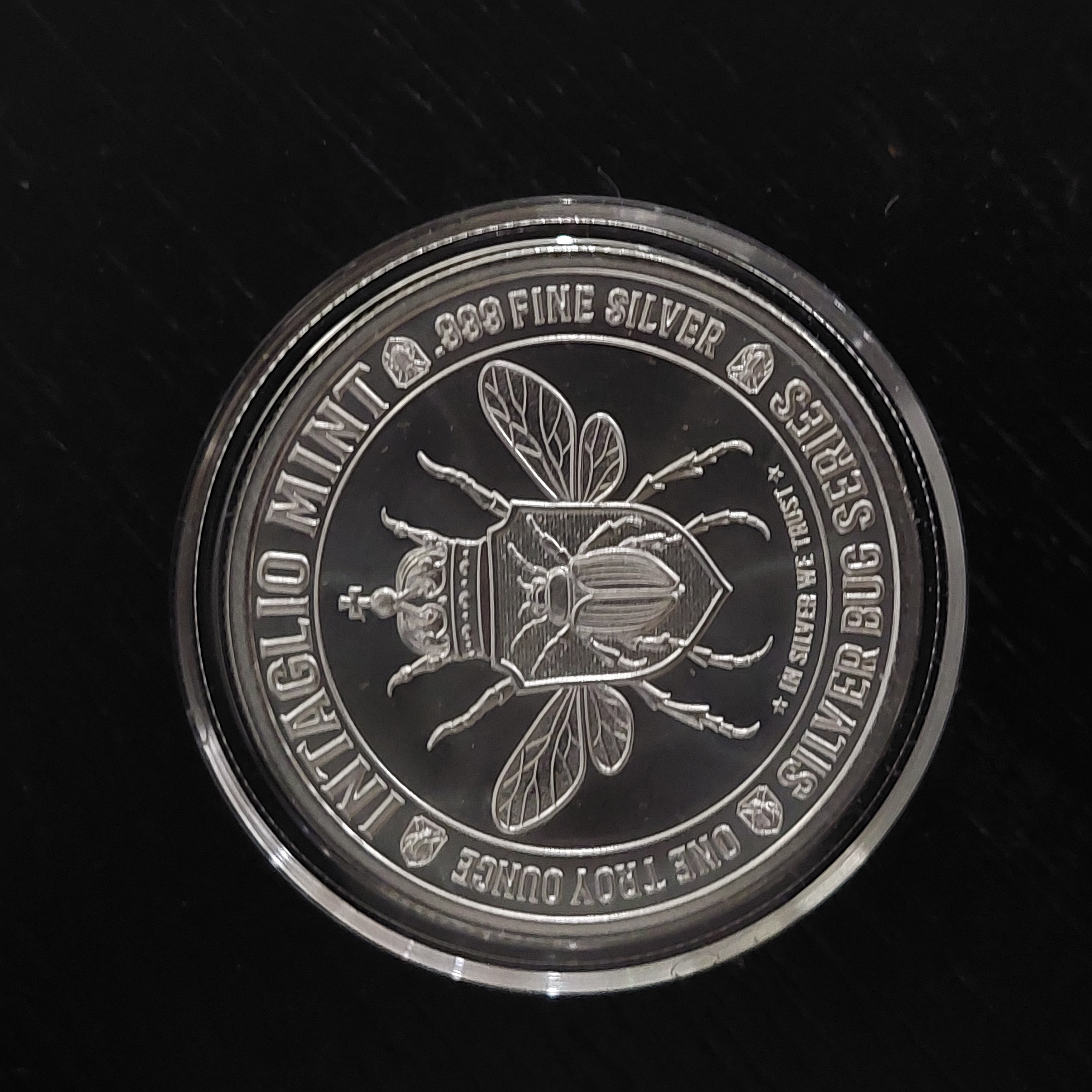Lady Bug  coin collectible - Main Image 2