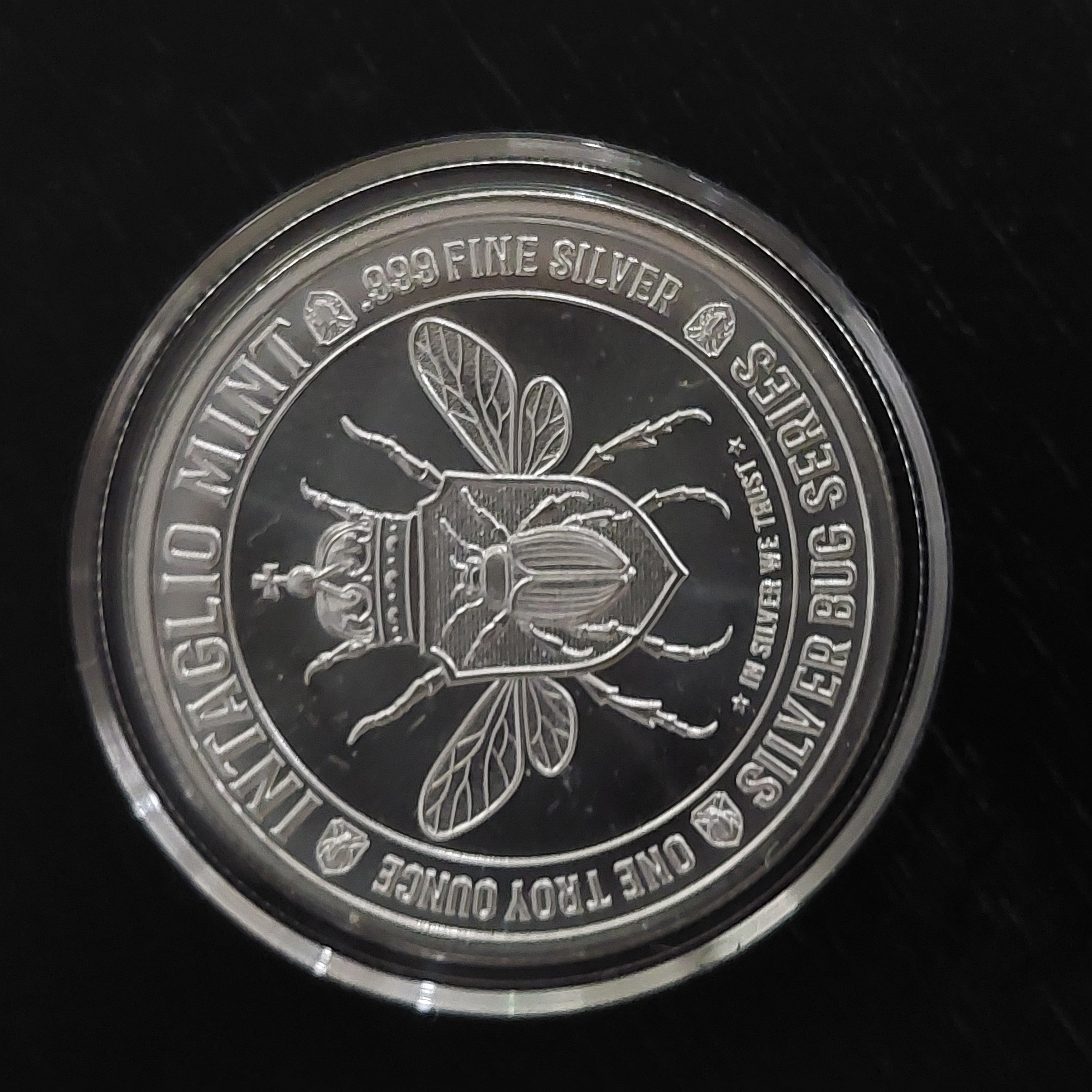 Tarantula Hawk Wasp  coin collectible - Main Image 2