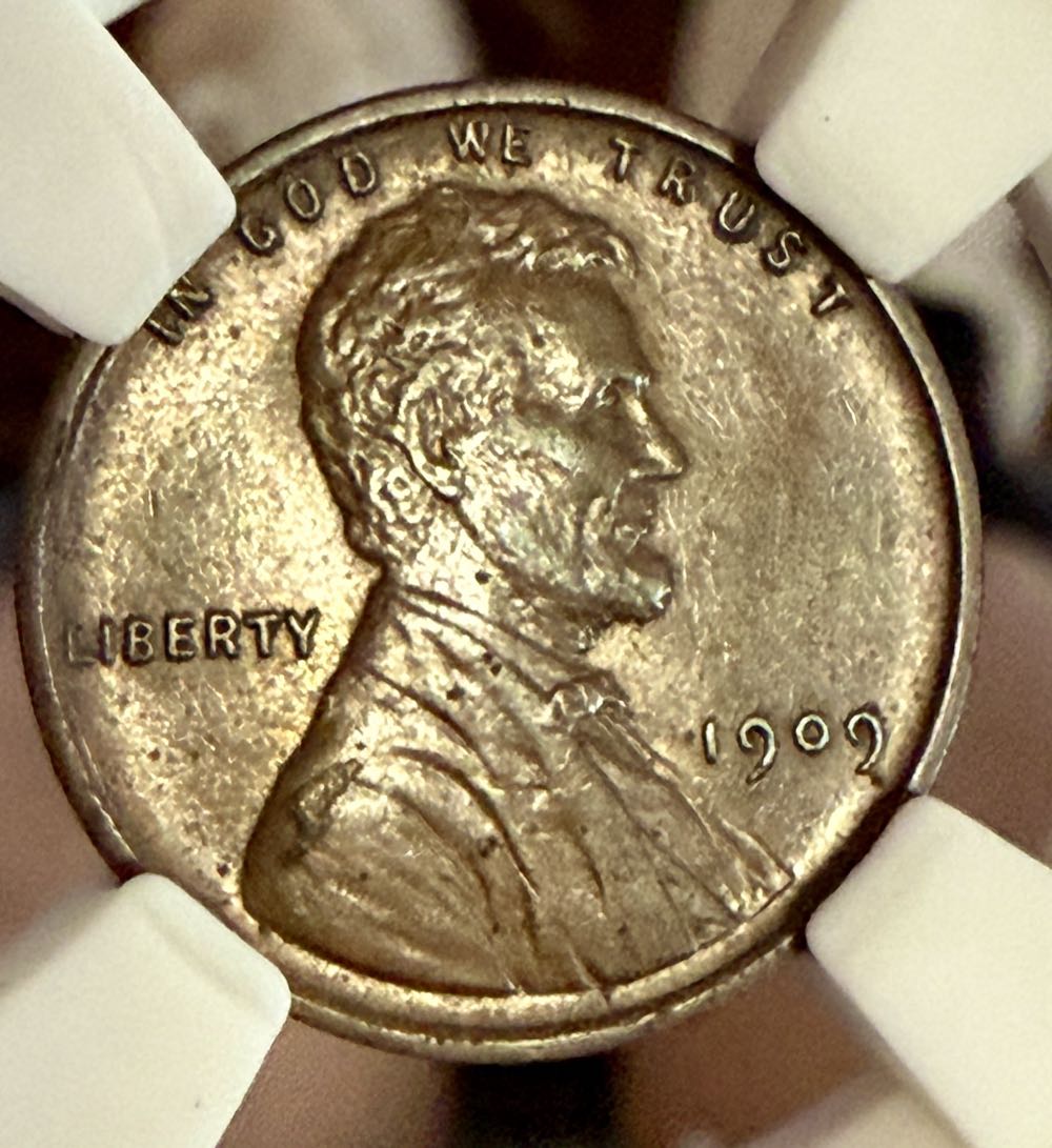 Birthday Parties A’s B’s 5 Dollar Club Token