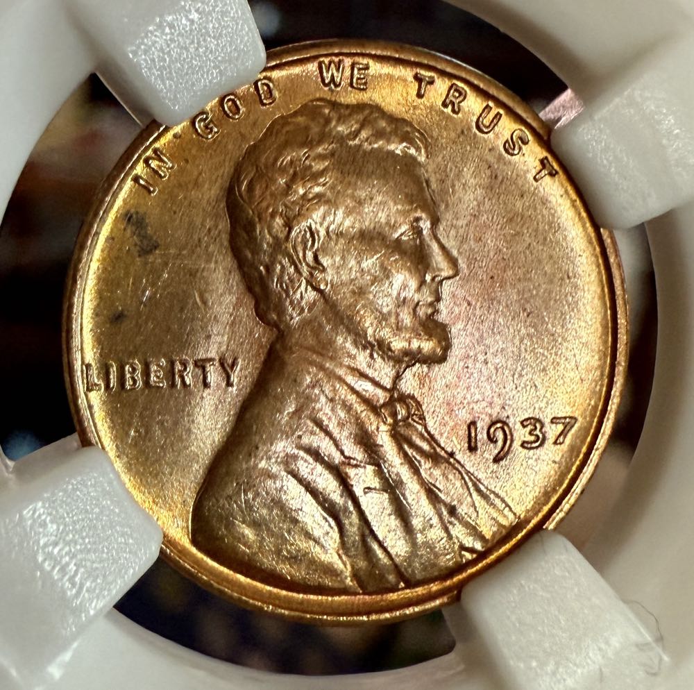 Anniversary Dodecagon 50 Cent