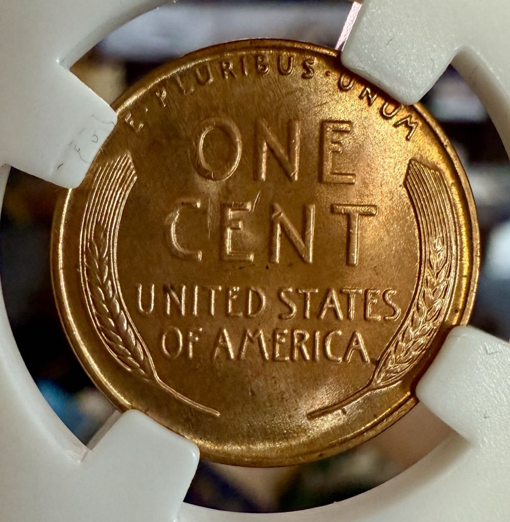 Lincoln Cent  coin collectible - Main Image 2