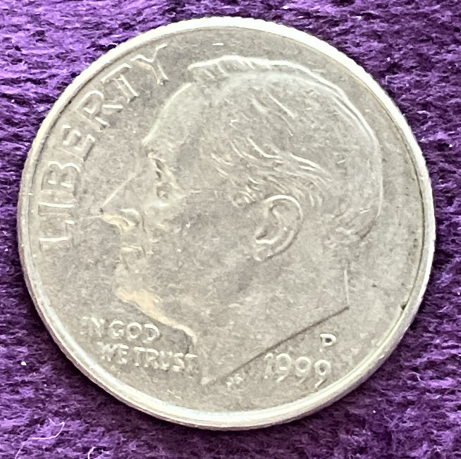 Wild Pronghorn Antelope