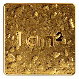 Mūsu zeme  coin collectible - Main Image 2