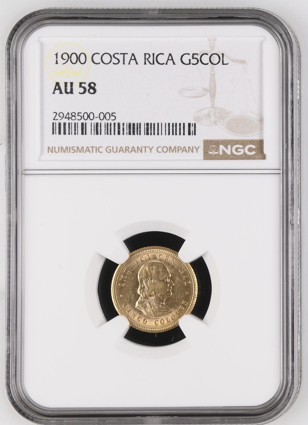 Soaring | Dragon Blessings