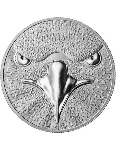 1994 Silver Eagle