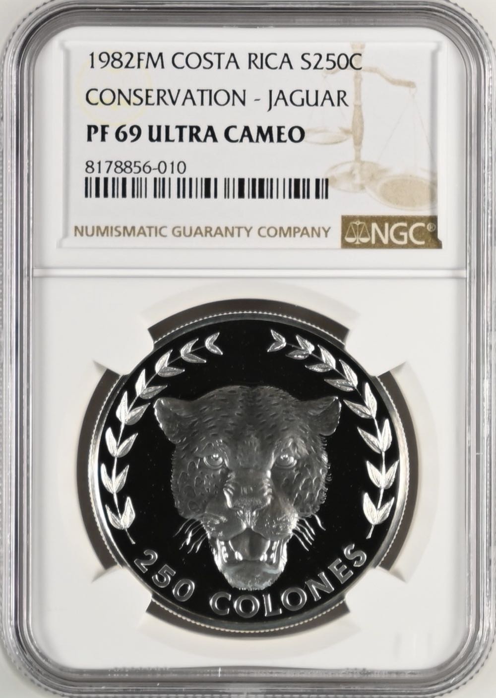 Pokémon Coin: Team Magma