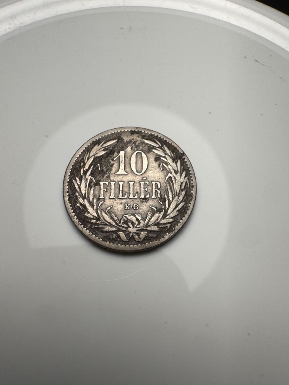 LBL Elk And Bison Prairie 2025