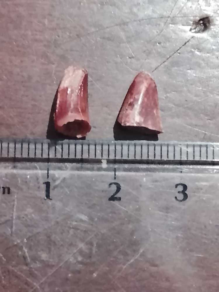 Half Dollar JFK 1977 D 5