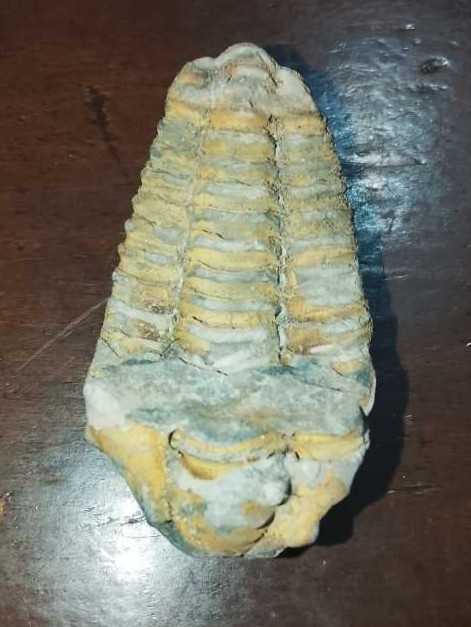 Error Quarter Die Chip