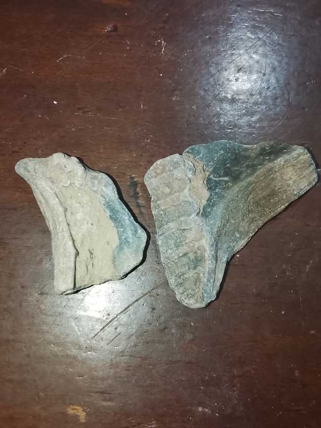 Marc’s Fun Time Pizza Palace Token