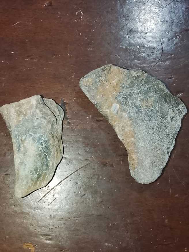 Isognomon promytiloides 162-158 mya  coin collectible - Main Image 2