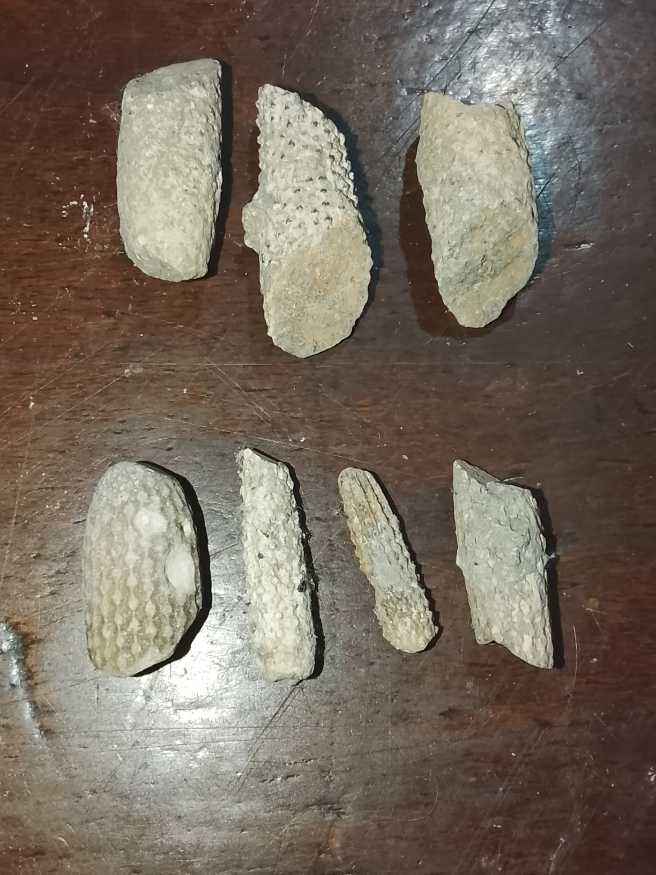 Half Dollar JFK 1971 D 12