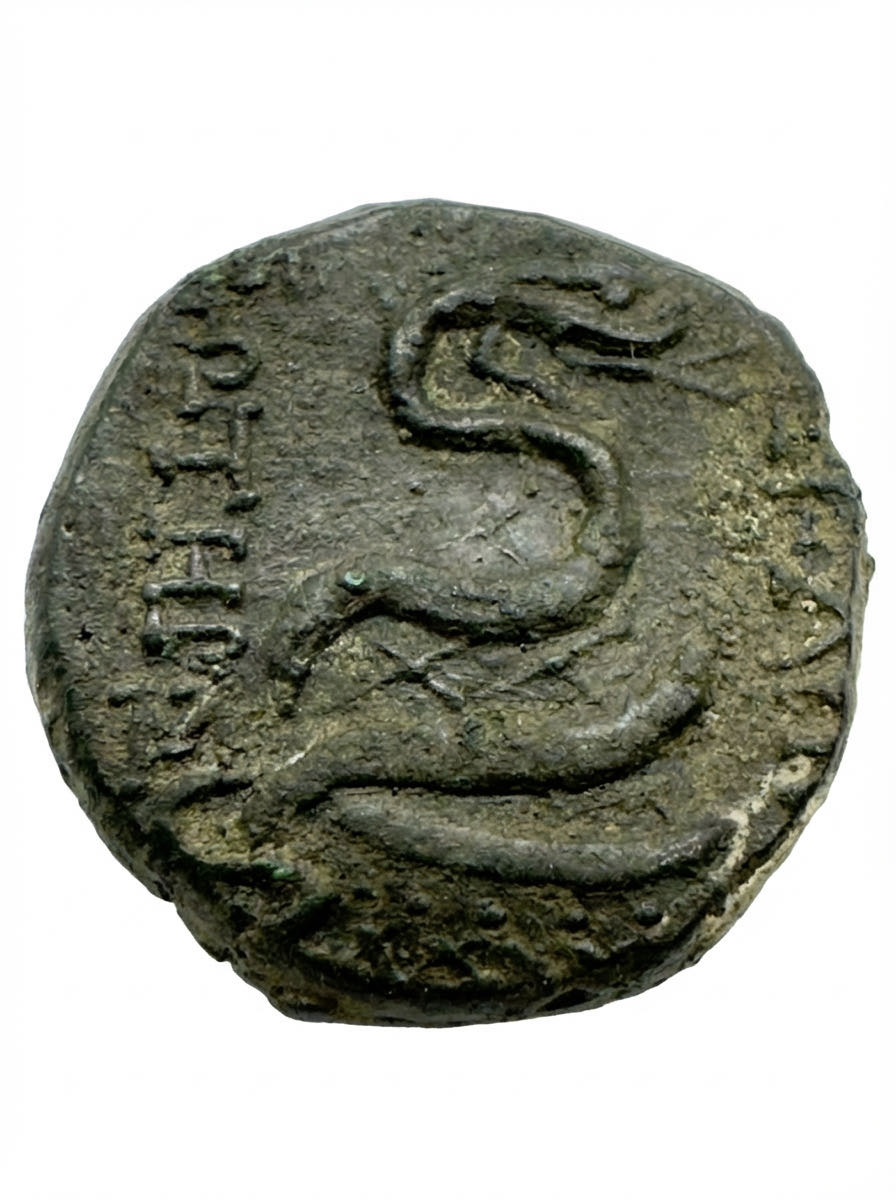 MYSIA Los 8253  PERGAMON. Stadt. Æs, nach 133 v. Chr.  coin collectible - Main Image 2