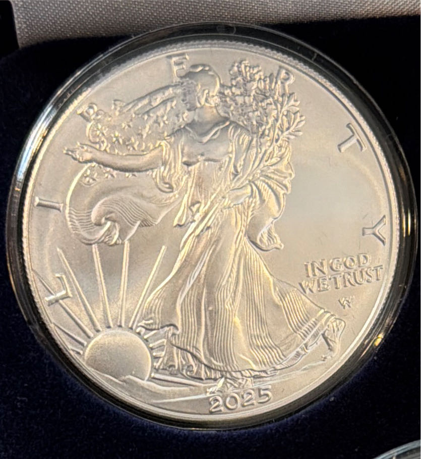 Silver Passport To The World  coin collectible - Main Image 3