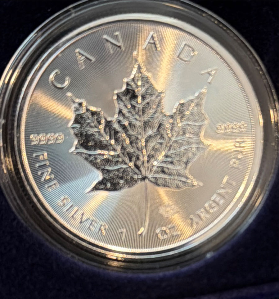 Silver Passport To The World  coin collectible - Main Image 6