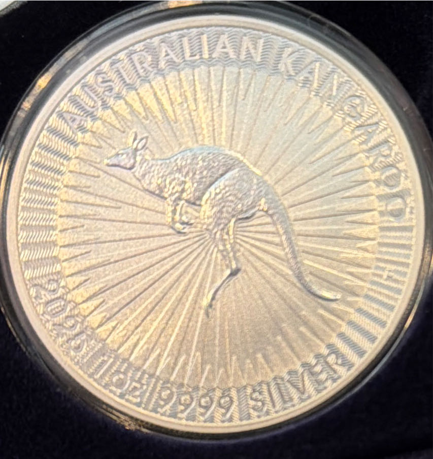 Silver Passport To The World  coin collectible - Main Image 7