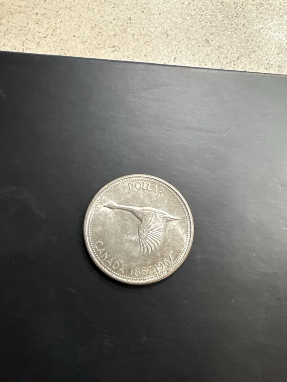 Legends of the West Morgan Dollars